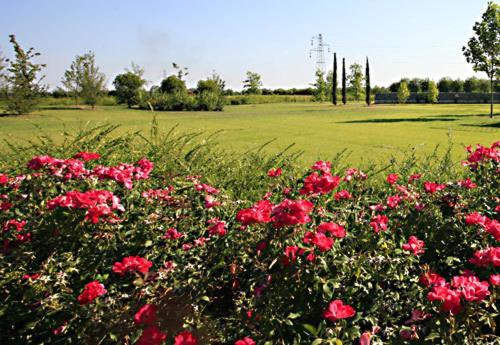 Country House Letizia Verona Buitenkant foto